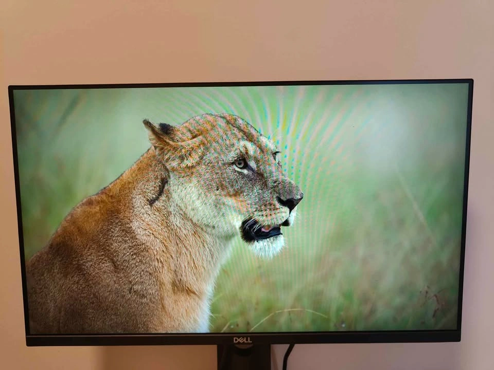 Dell 24 inch monitor - photo 2