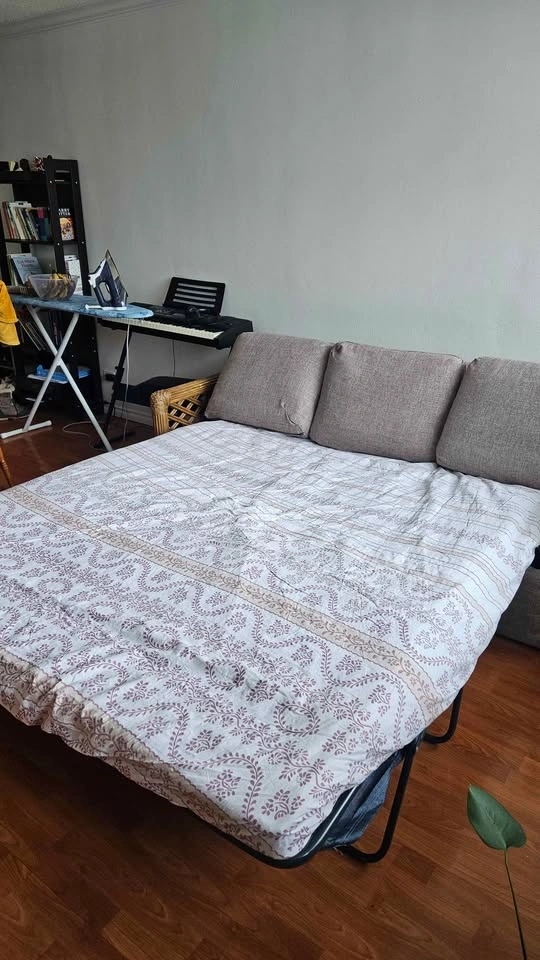 Lazy-Boy Queen Sofa Bed - 192x92x63cm - photo 2