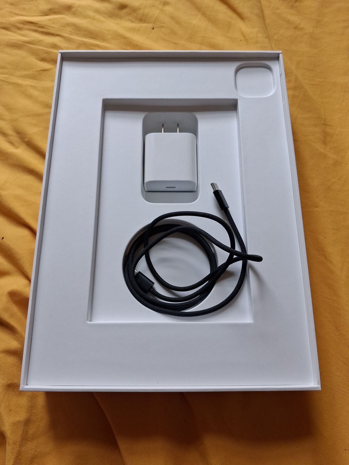 256GB iPad Pro 11-inch (M4) Wi-Fi + Cellular - photo 4