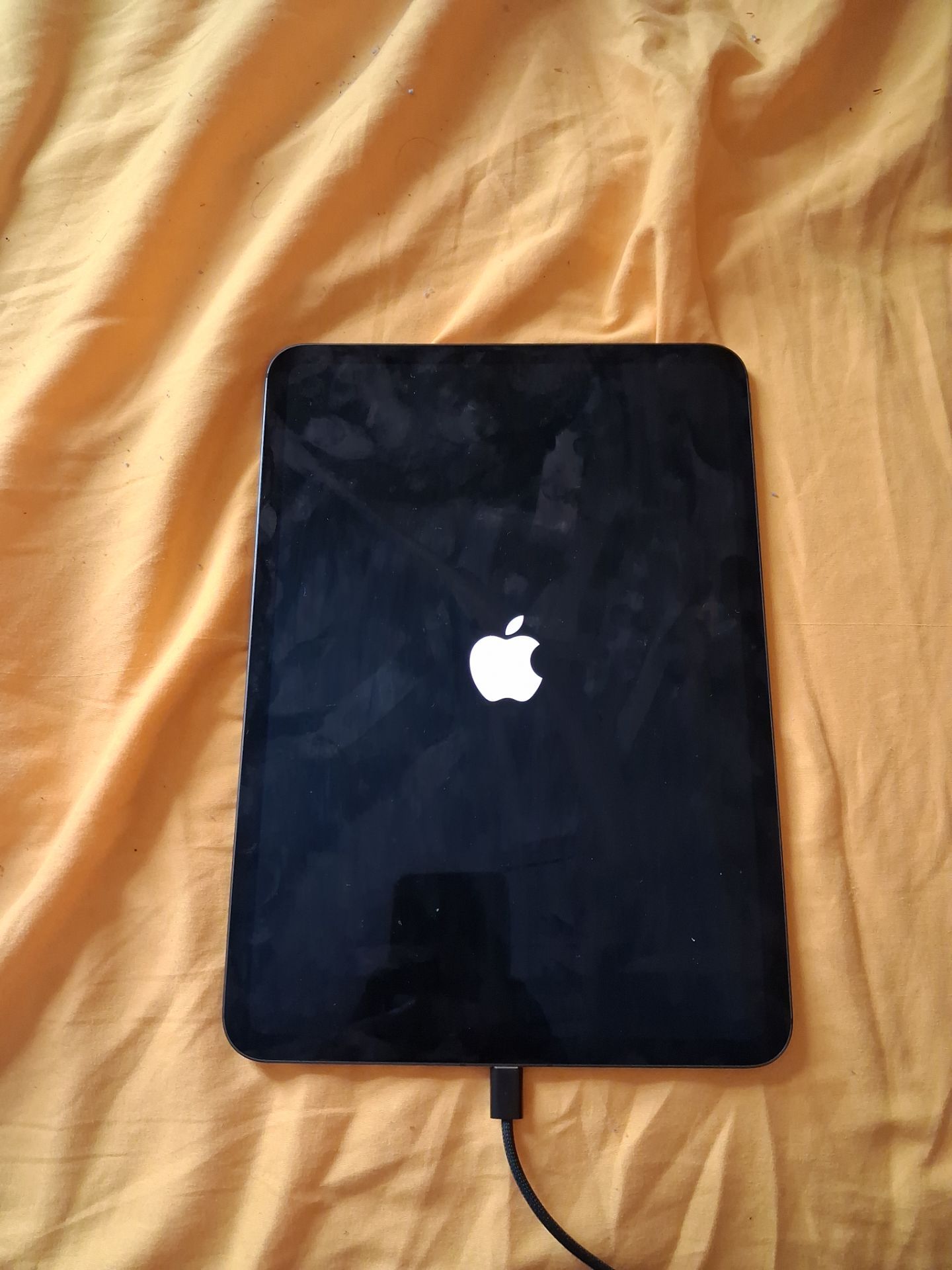 256GB iPad Pro 11-inch (M4) Wi-Fi + Cellular - photo 5