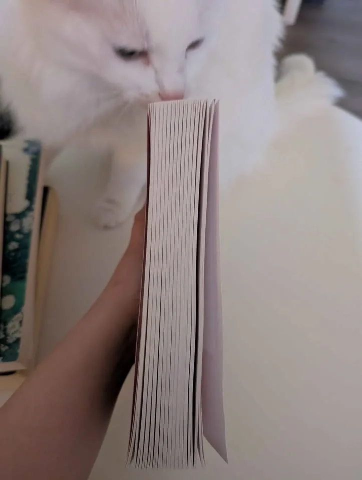 The Frozen River Book by Ariel Lawhon GMA Book Club Pick - photo 5