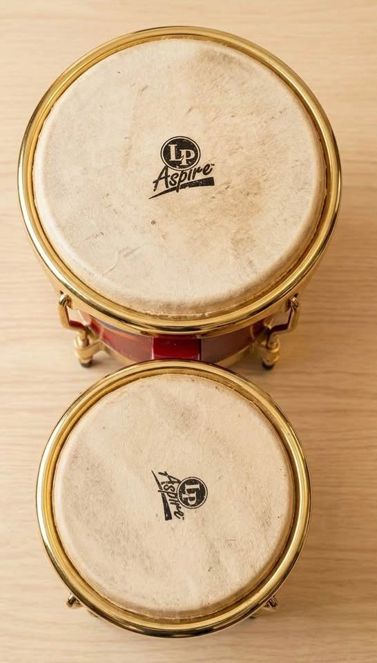 LP Santana "Abraxas" Signature Bongos - Heavy Duty Wood - photo 2