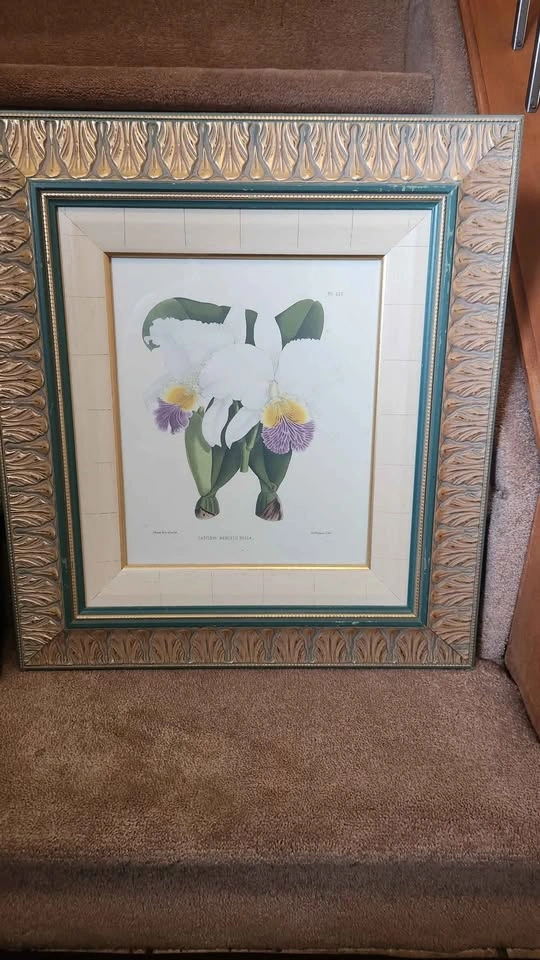 Used wall pictures (Both $40) Pick up from Northside - photo 2