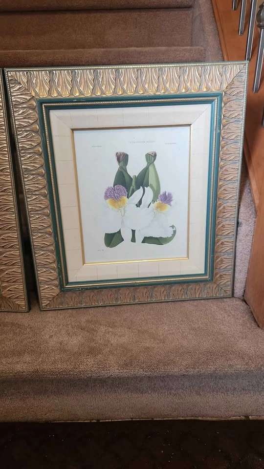 Used wall pictures (Both $40) Pick up from Northside - photo 3