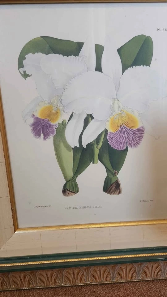 Used wall pictures (Both $40) Pick up from Northside - photo 4