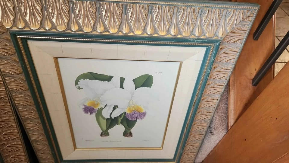 Used wall pictures (Both $40) Pick up from Northside - photo 5