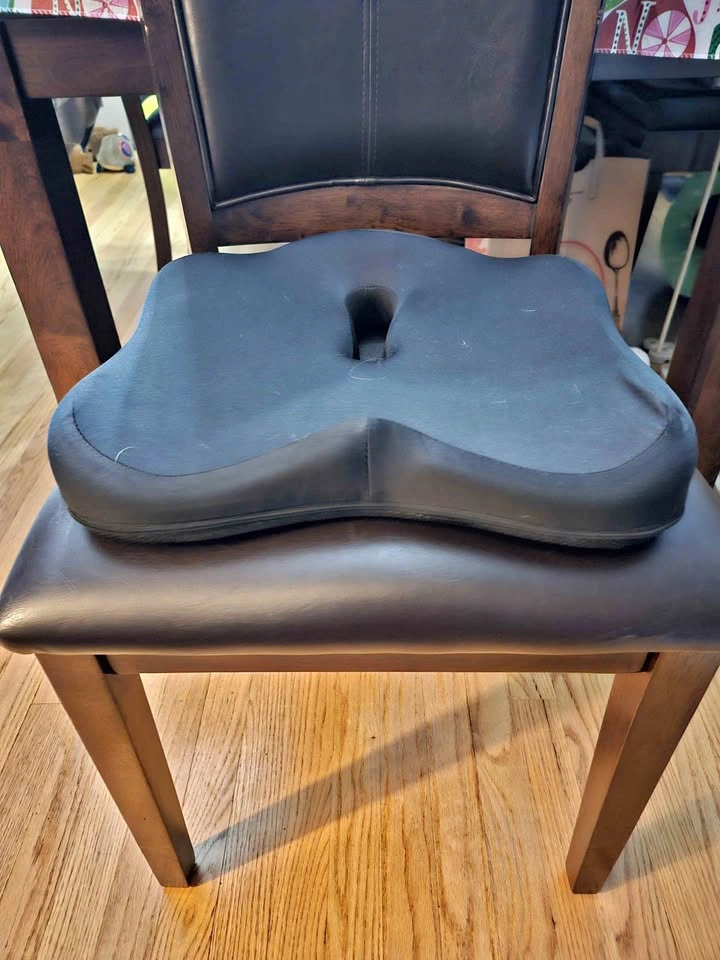 Chair Cushion