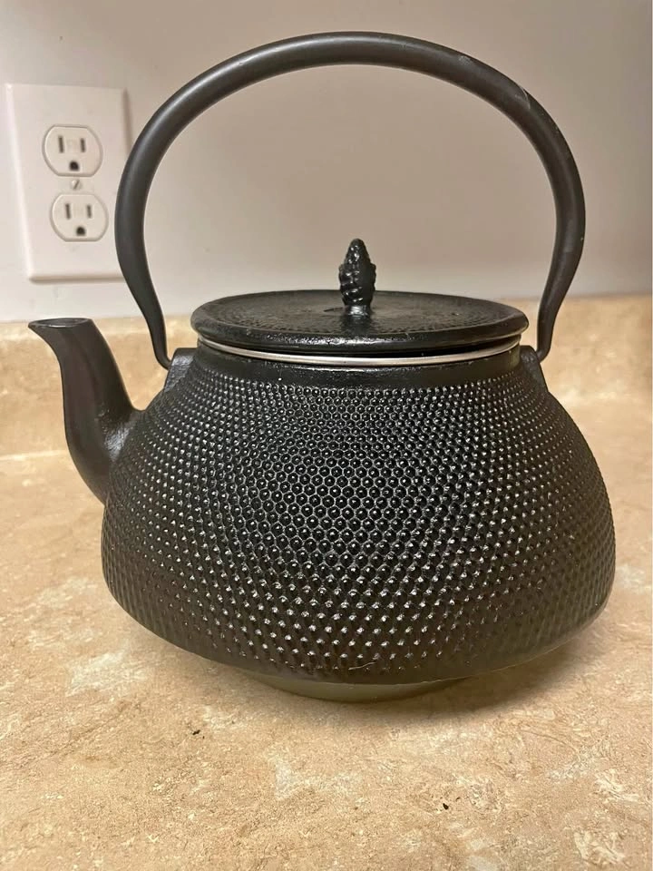 Black Cast Iron Teapot with Infuser