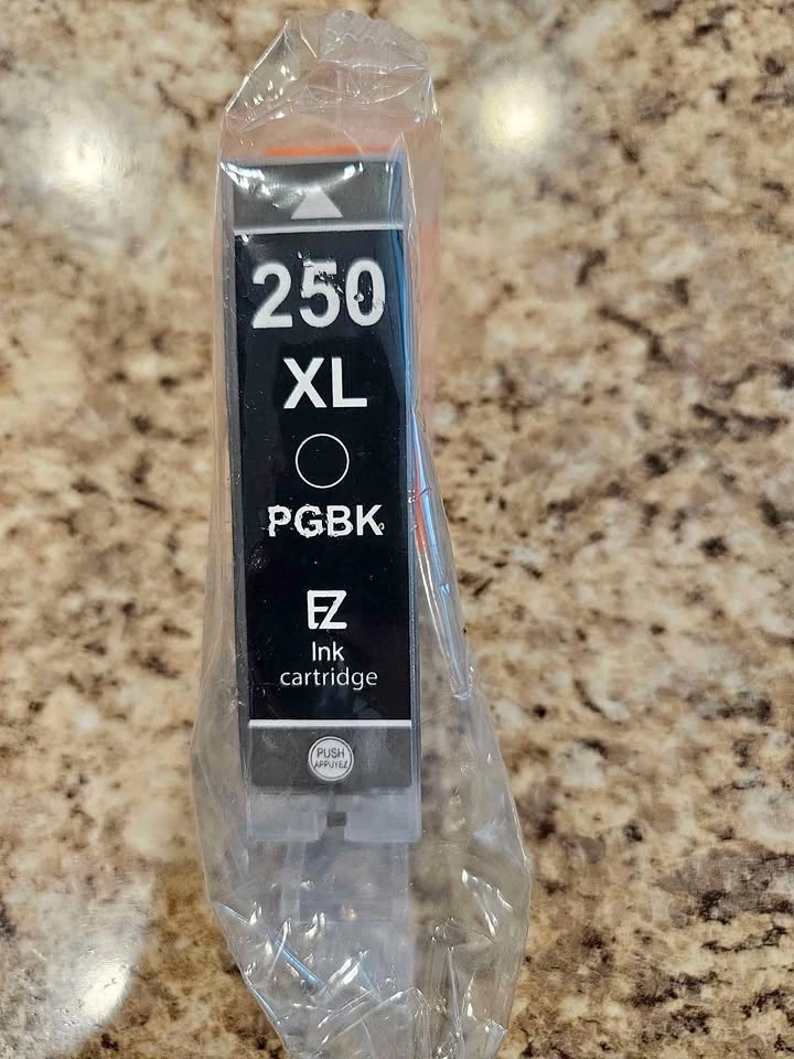 New 250 XL Blk Ink Cartridge