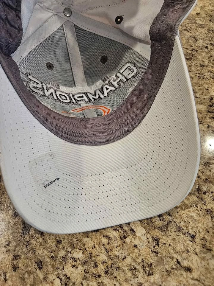 NFL Chicago Bears 2010 Division Champions Reebok Cap Hat - photo 3