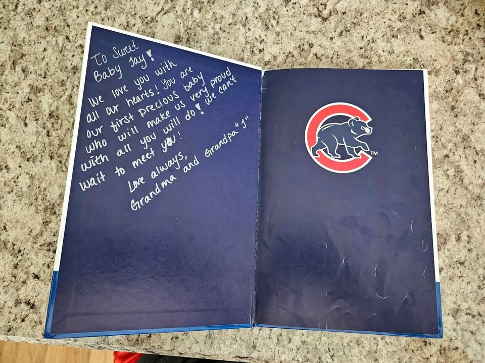 Let's Go, Cubs! Aimee Aryal Hardcover - photo 4