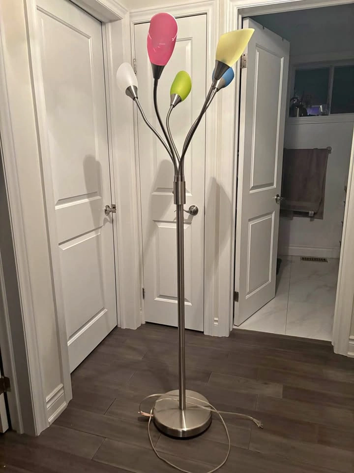 Multicolour Floor Lamp