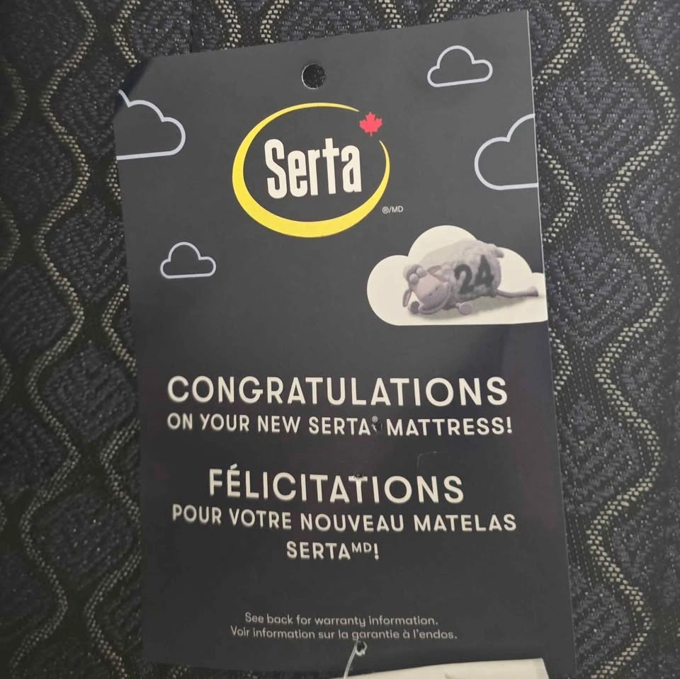 Queen Bed and Serta Mattress Combo - photo 3