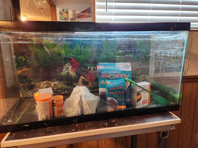 Aquarium