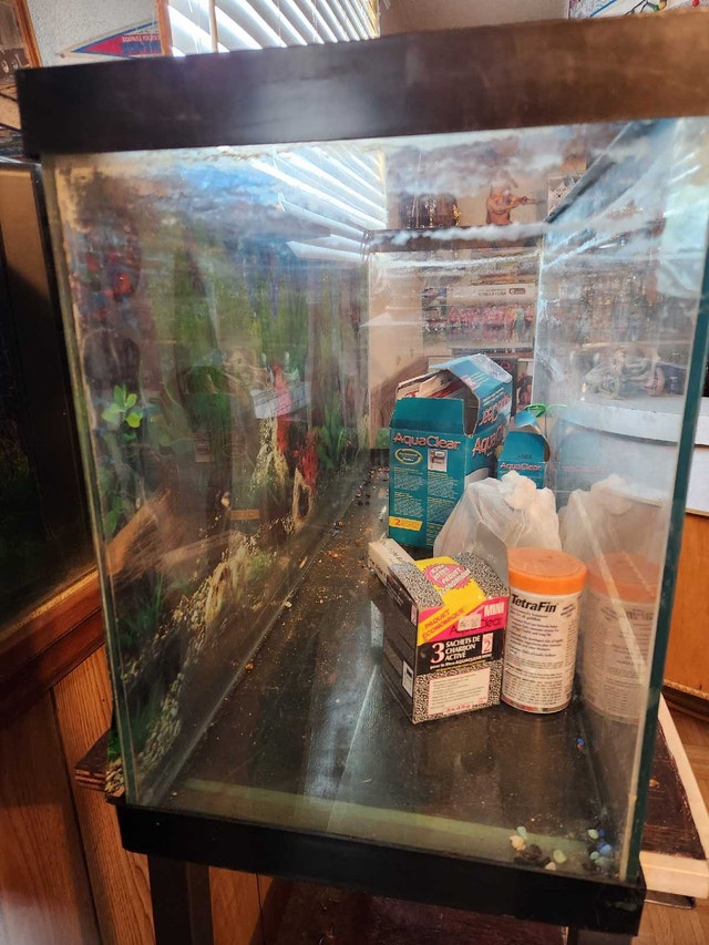 Aquarium - photo 2