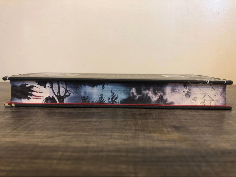 One Dark Window: Deluxe Limited Hardcover Edition - photo 3