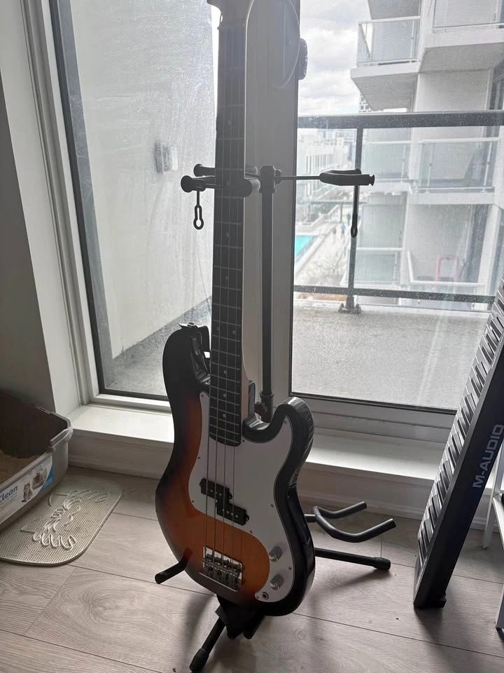 Donner Standard Series Bass Guitar w/ bag and strap