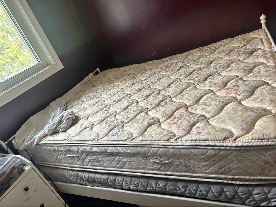 Ikea Leirvik Queen Bed Frame + Mattress