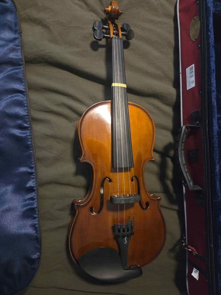 Beginner Violin - Stentor Student II 4/4 - photo 3