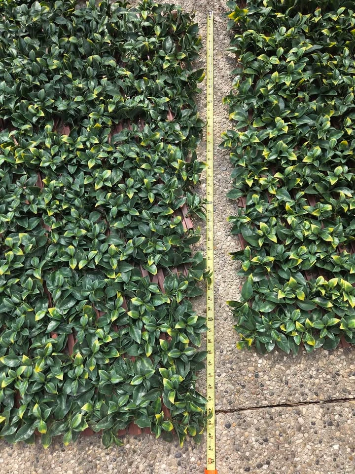 Greenery Privacy Fence - photo 2