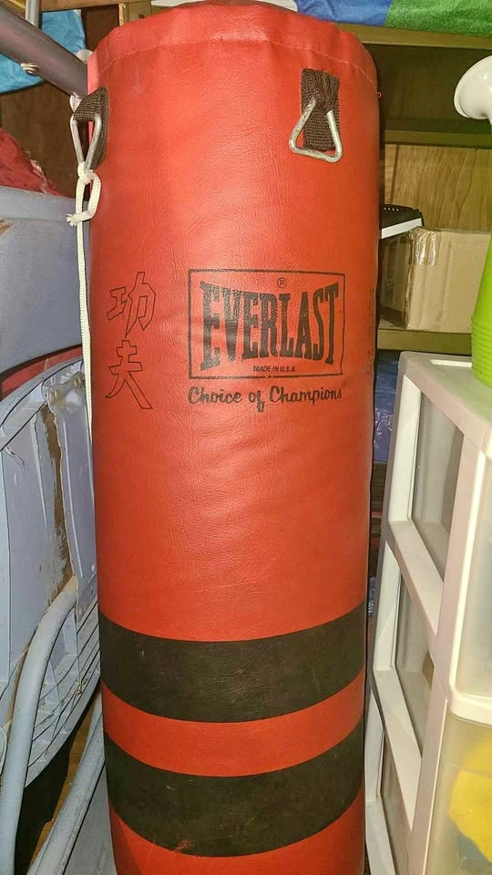 Everlast Heavy Bag