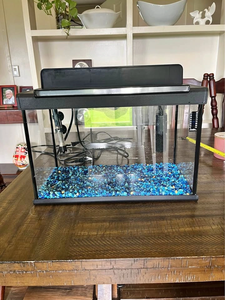 16” x 8” Aquarium - Fish Tank
