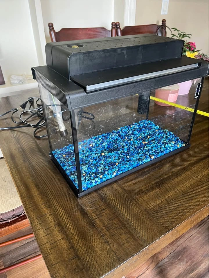 16” x 8” Aquarium - Fish Tank - photo 2