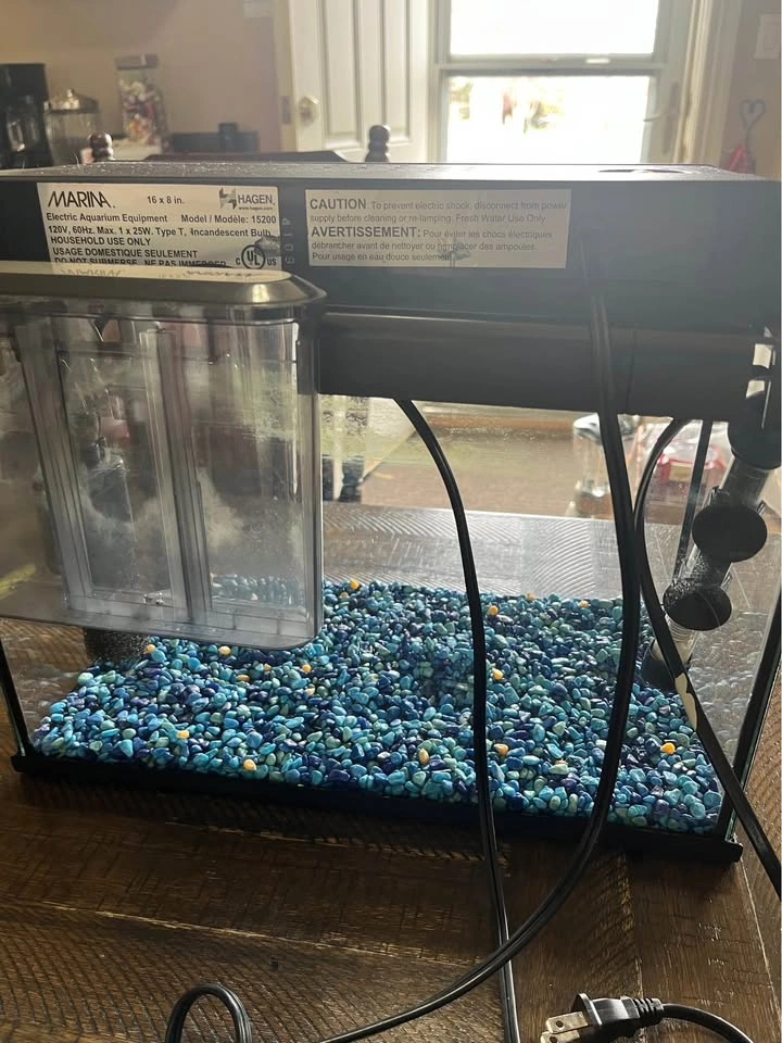 16” x 8” Aquarium - Fish Tank - photo 3