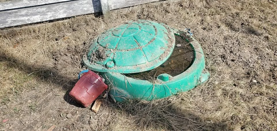 Turtle sandbox with sand bucket