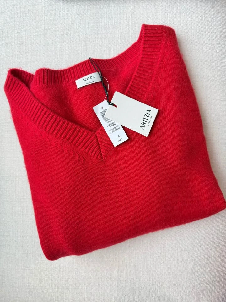 Aritzia Plush Cashmere Oversized V-Neck Sweater L NWT - photo 3