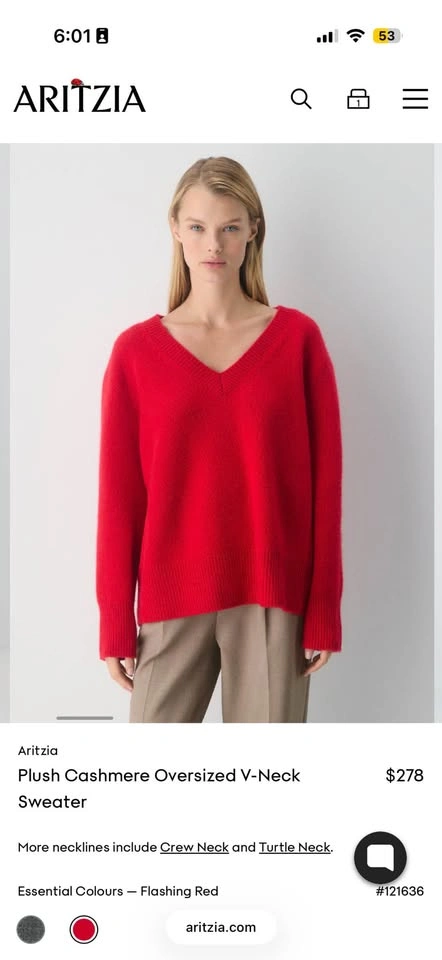 Aritzia Plush Cashmere Oversized V-Neck Sweater L NWT - photo 4