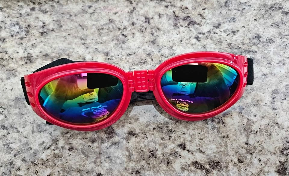 New Folding Dog Sunglasses - Red 🐕🐕‍🦺🦮