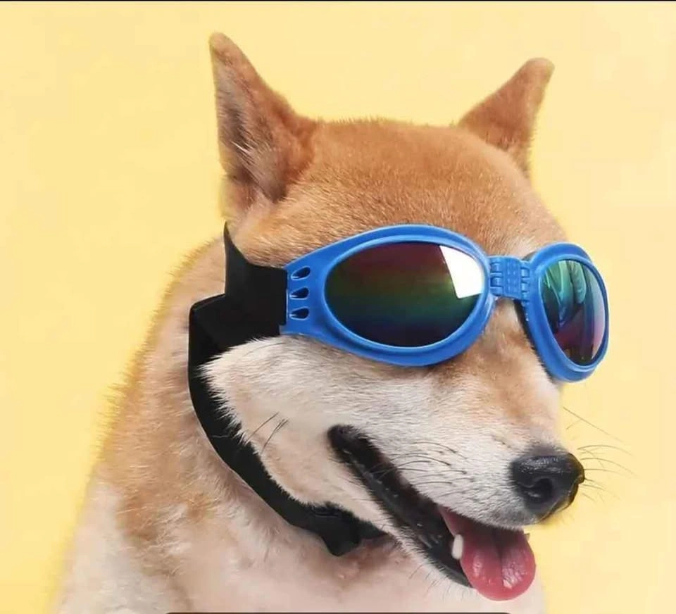 New Folding Dog Sunglasses - Red 🐕🐕‍🦺🦮 - photo 3