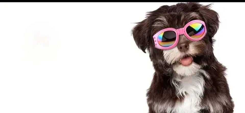 New Folding Dog Sunglasses - Red 🐕🐕‍🦺🦮 - photo 4