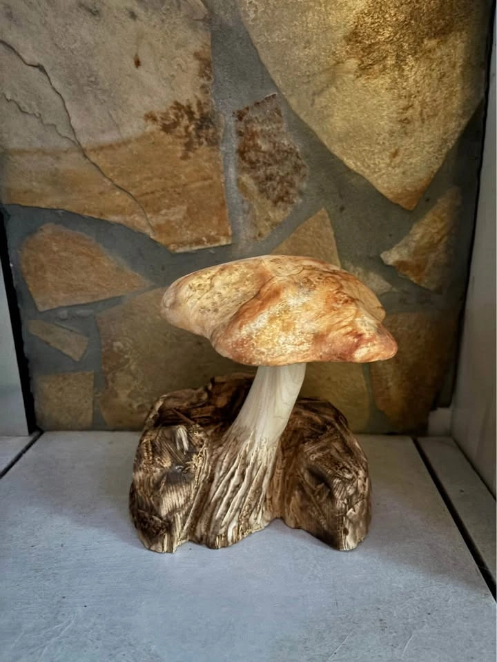 Wooden mushroom