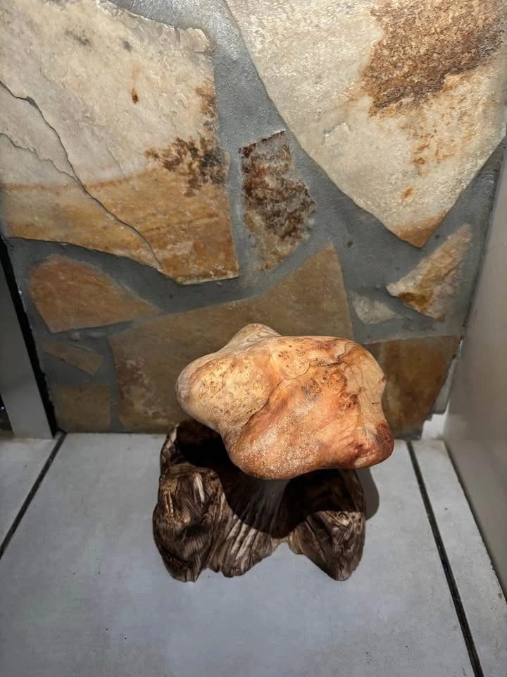 Wooden mushroom - photo 2