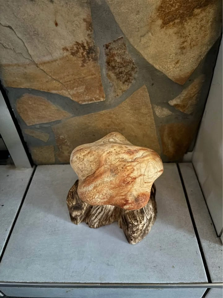 Wooden mushroom - photo 4