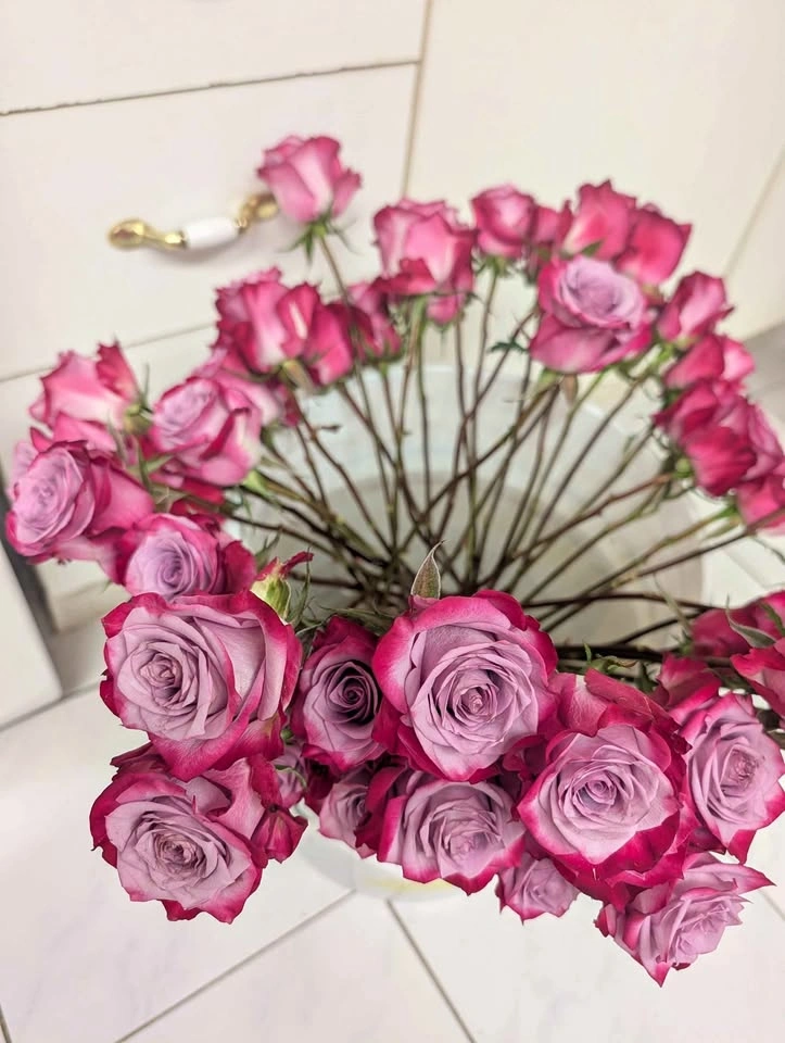Pink/lavender roses