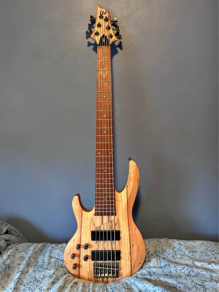 ESP LTD Left Handed 6 String Bass Guitar