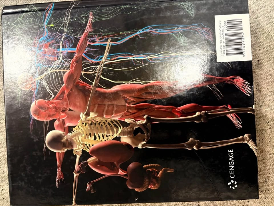 Human physiology: from cells to systems - photo 2