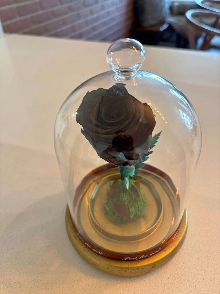 Black Forever Rose in Glass