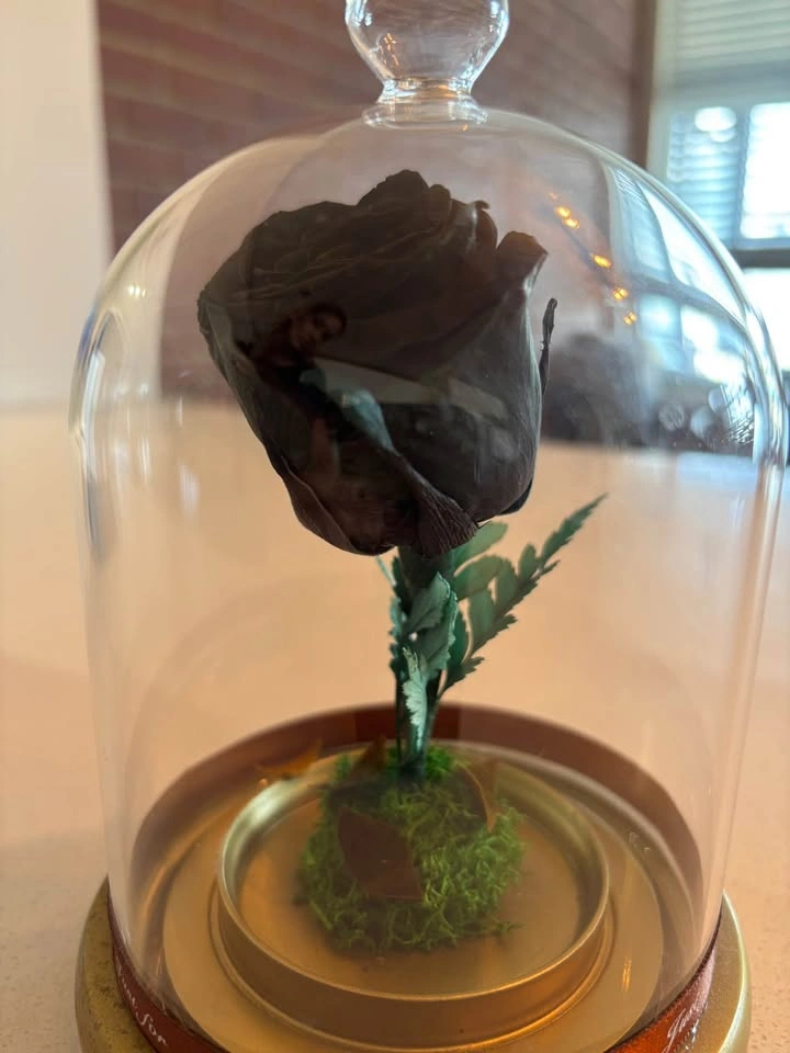 Black Forever Rose in Glass - photo 2