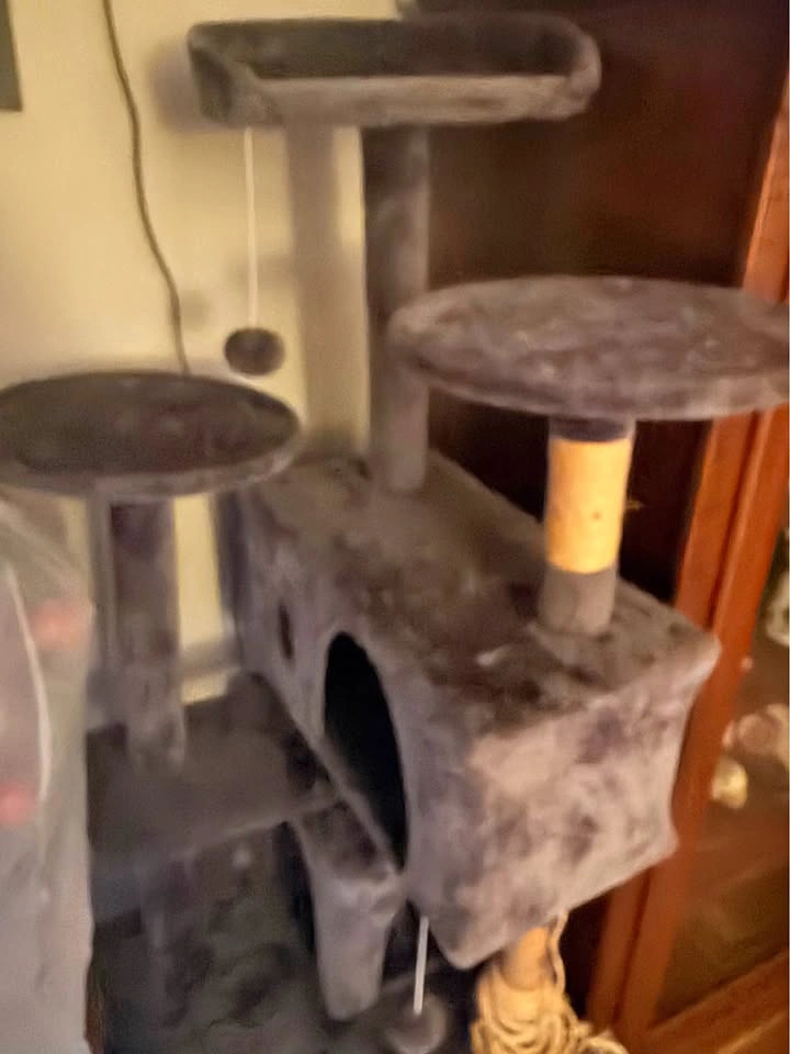 Cat house