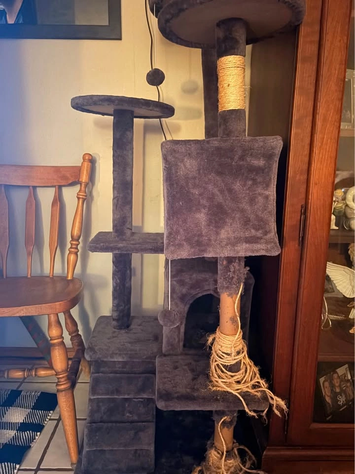 Cat house - photo 2
