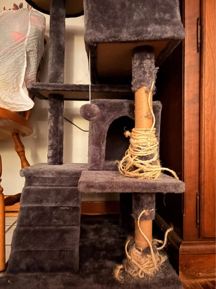 Cat house - photo 3