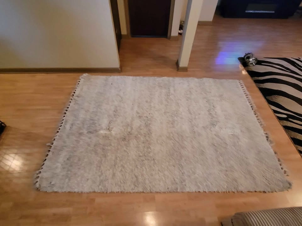 Rug for living room and more - photo 2