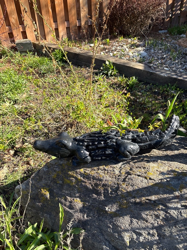 Alligator Decoration