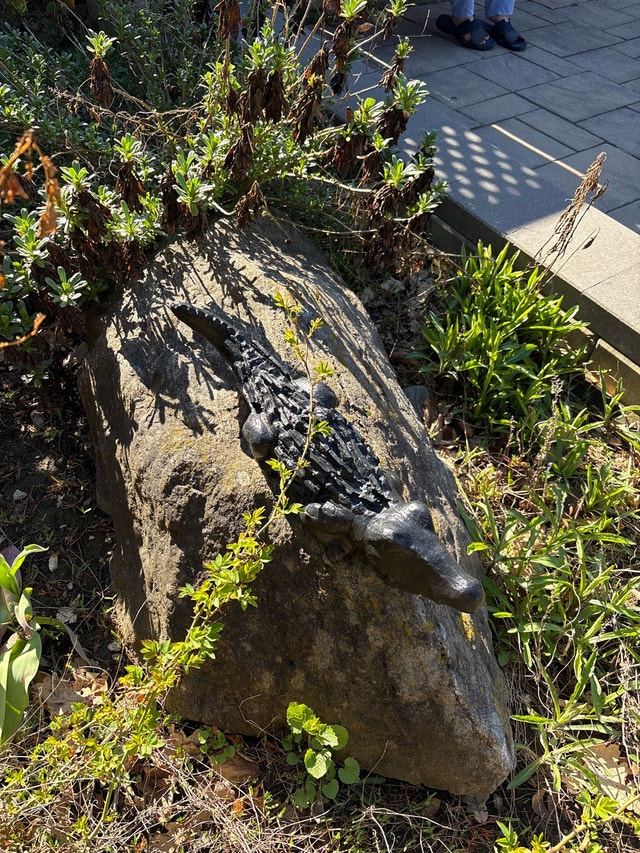 Alligator Decoration - photo 4