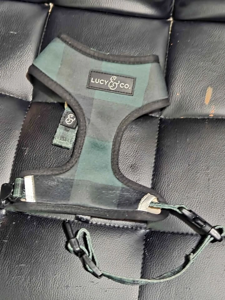 Small Dog Harness
