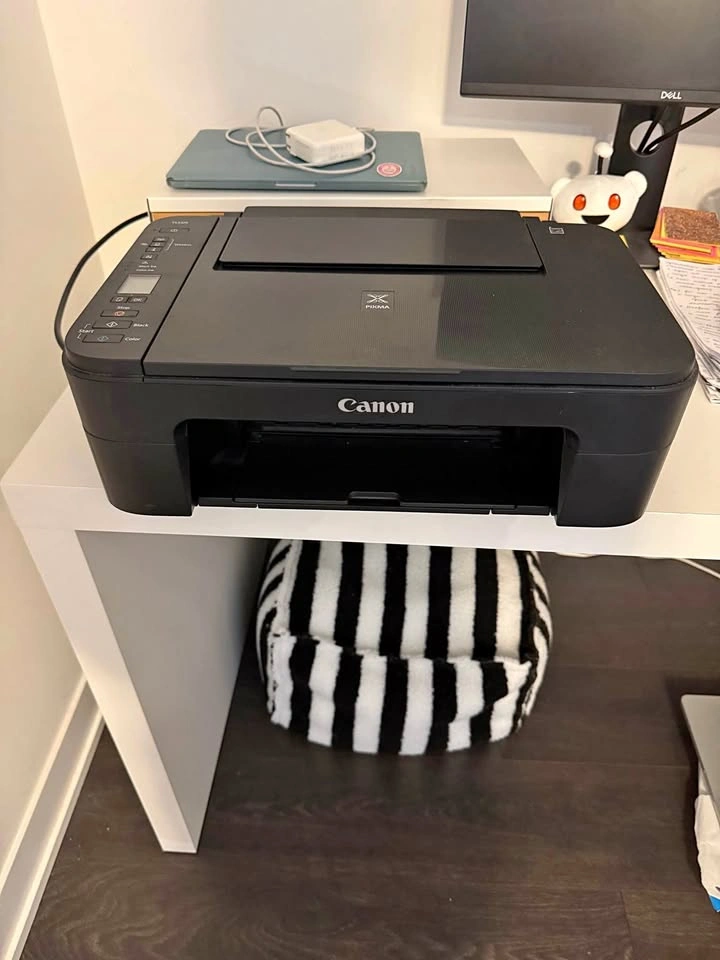 Canon TS3329 Printer